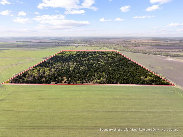 TBD County Road 3230, Ben Franklin, TX 75415