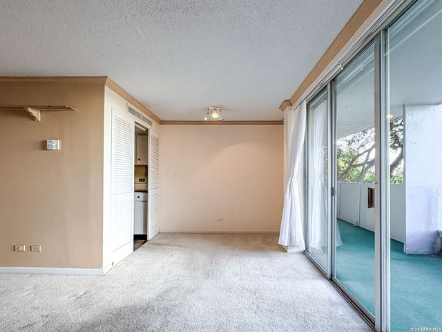 7039 San Pedro Ave Apt 205, San Antonio, TX 78216