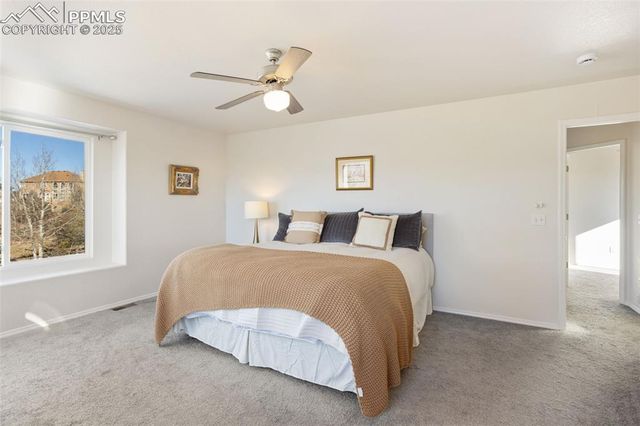 785 Mesa Creek Drive, Monument, CO 80132