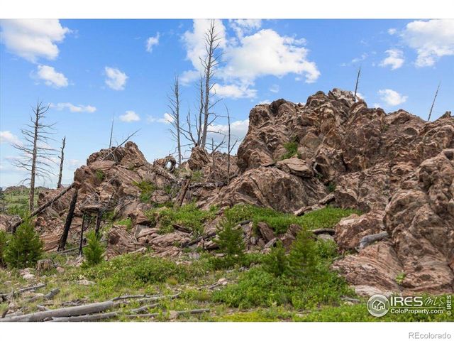 Tip Top Road, Bellvue, CO 80512