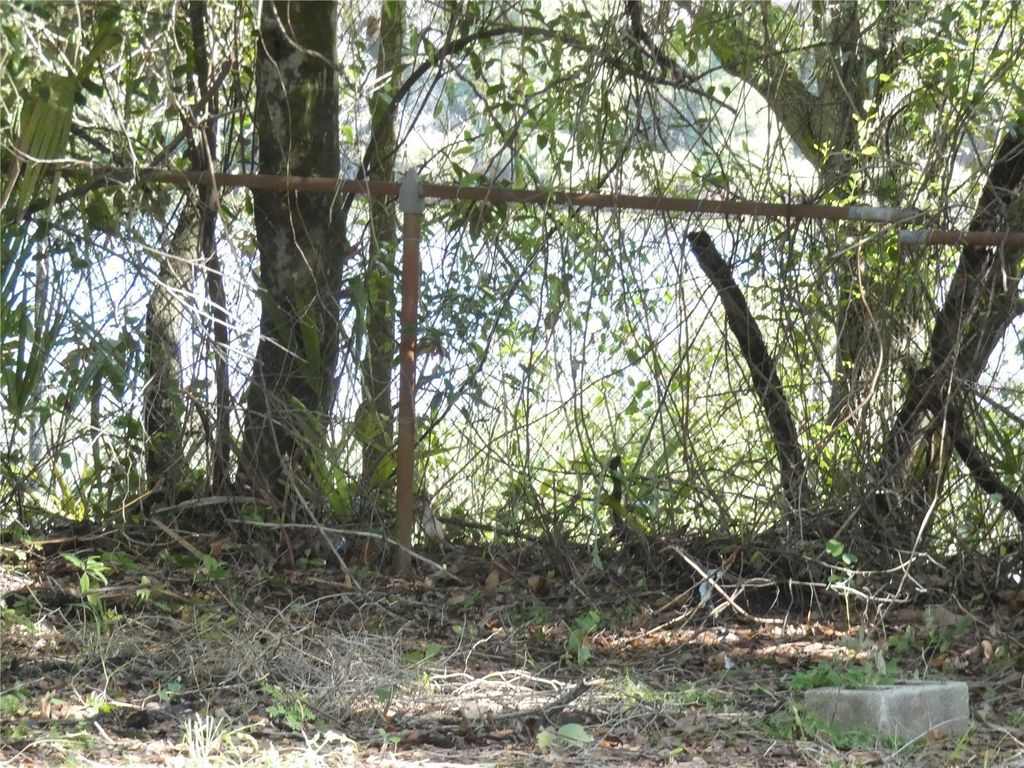 Image 15 of property listing at 4410 E 25TH AVENUE, Tampa, FL 33605