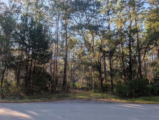 W ROSEDALE DRIVE, Homosassa, FL 34448