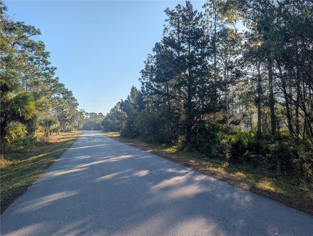 W ROSEDALE DRIVE, Homosassa, FL 34448