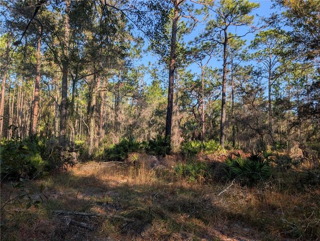 W ROSEDALE DRIVE, Homosassa, FL 34448