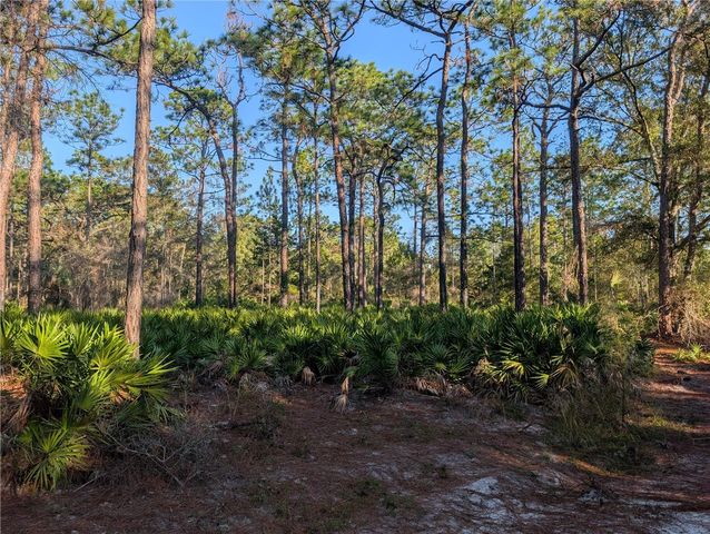 W ROSEDALE DRIVE, Homosassa, FL 34448