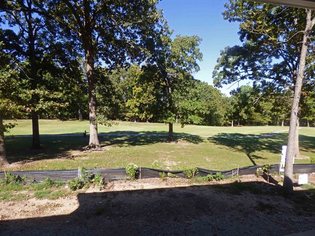 25 Conda Drive, Cherokee Village, AR 72529