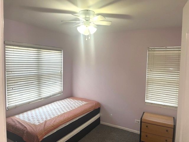 1273 Dunamon Drive, Bartlett, IL 60103