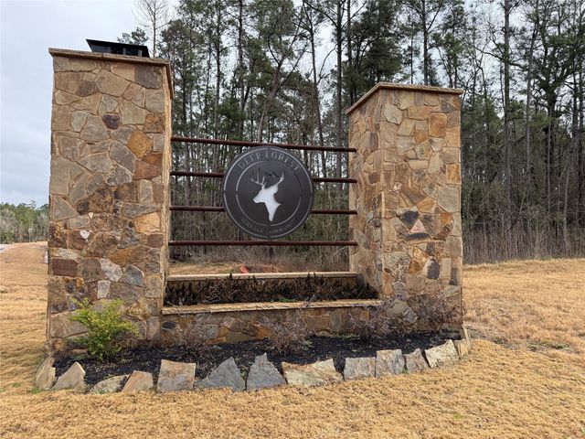 122 Signal Road, New Waverly, TX 77358