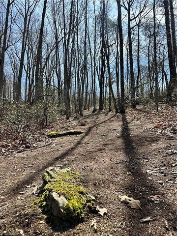 1626 Black Mountain Road, Pilot Mountain, NC 27041