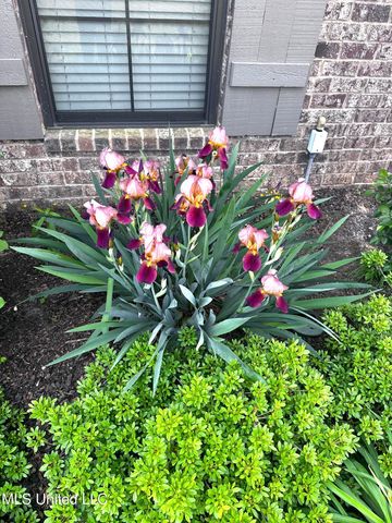 14437 Choctaw Ridge Drive, Olive Branch, MS 38654