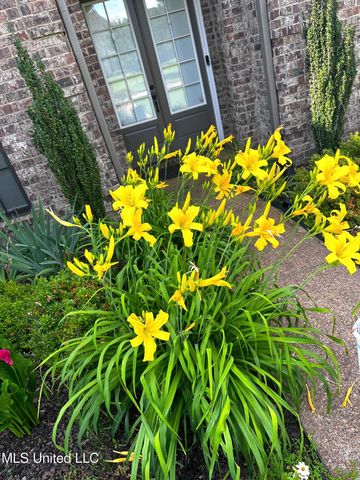 14437 Choctaw Ridge Drive, Olive Branch, MS 38654