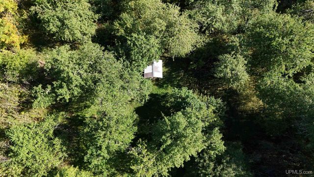 E2702 Country Lane Road, Eben Junction, MI 49825