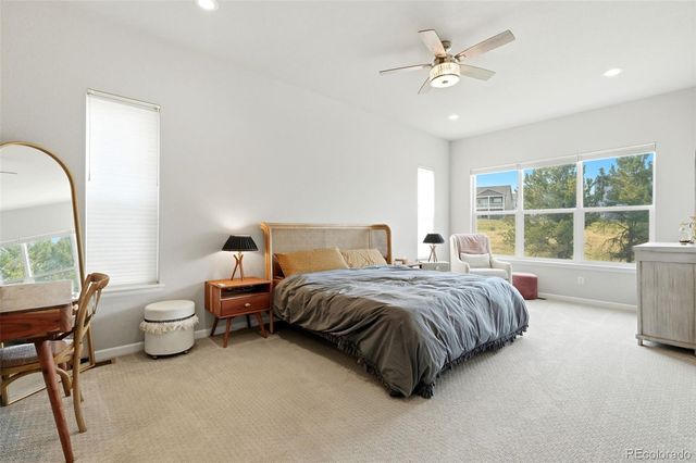 214 Simmental Loop, Castle Rock, CO 80104