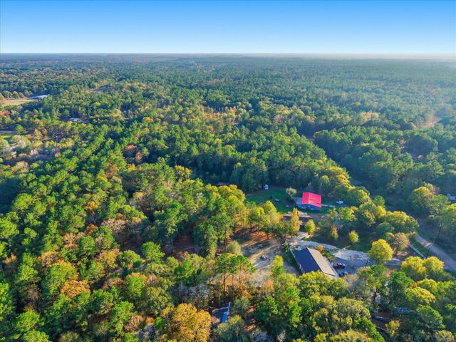 0 Lee Drive, Cleveland, TX 77328
