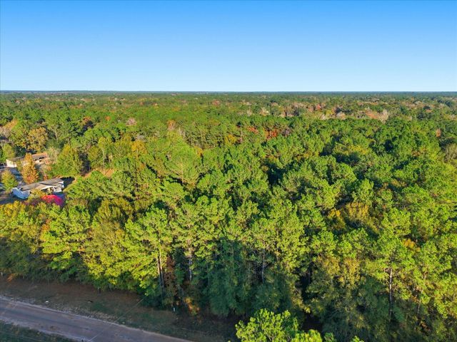 0 Lee Drive, Cleveland, TX 77328