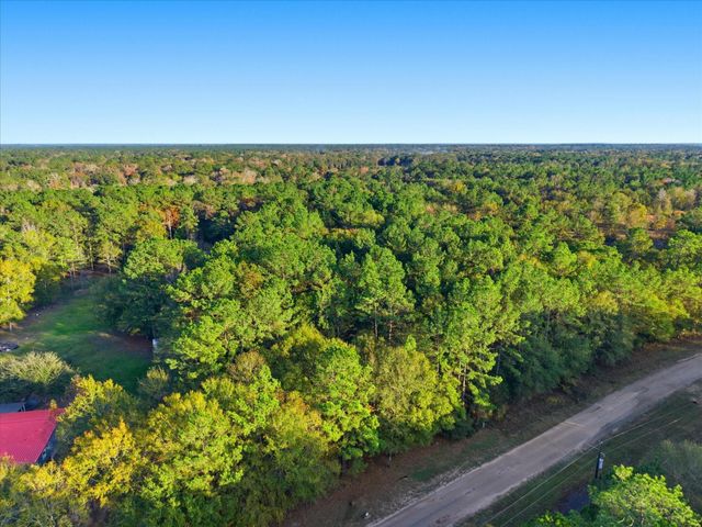 0 Lee Drive, Cleveland, TX 77328