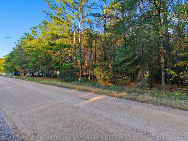 0 Lee Drive, Cleveland, TX 77328