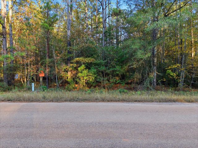 0 Lee Drive, Cleveland, TX 77328