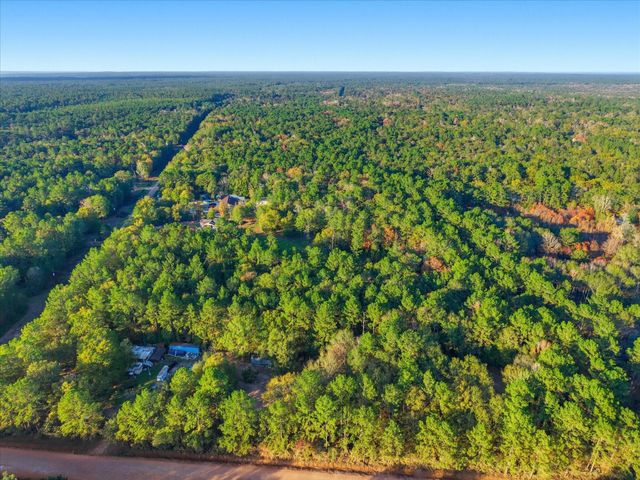 0 Lee Drive, Cleveland, TX 77328