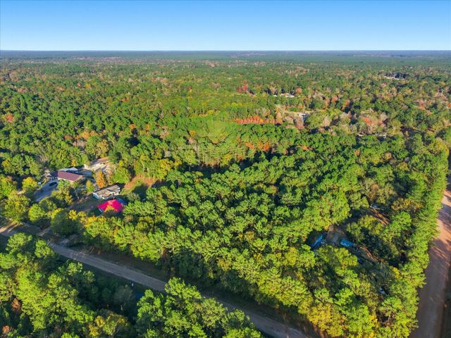 0 Lee Drive, Cleveland, TX 77328