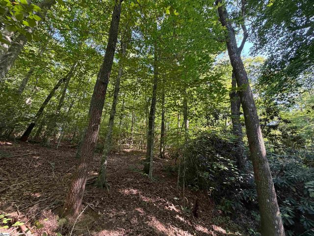 141 Old Sc 11, Travelers Rest, SC 29690