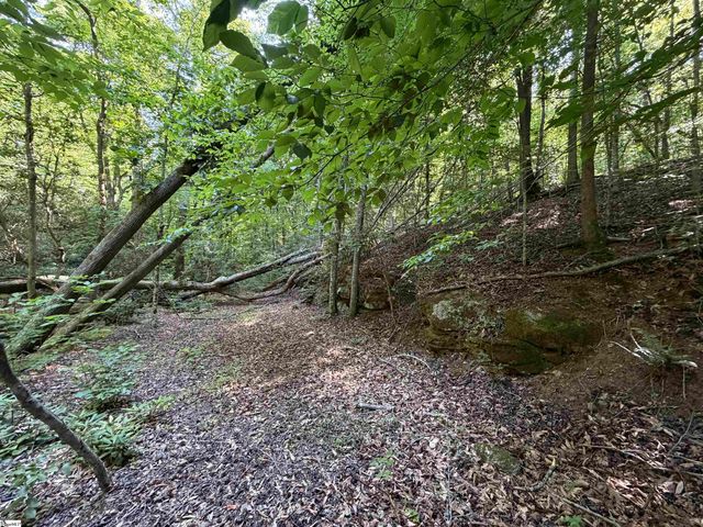 141 Old Sc 11, Travelers Rest, SC 29690