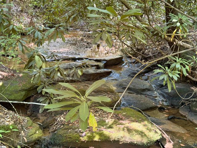 141 Old Sc 11, Travelers Rest, SC 29690