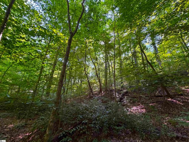 141 Old Sc 11, Travelers Rest, SC 29690
