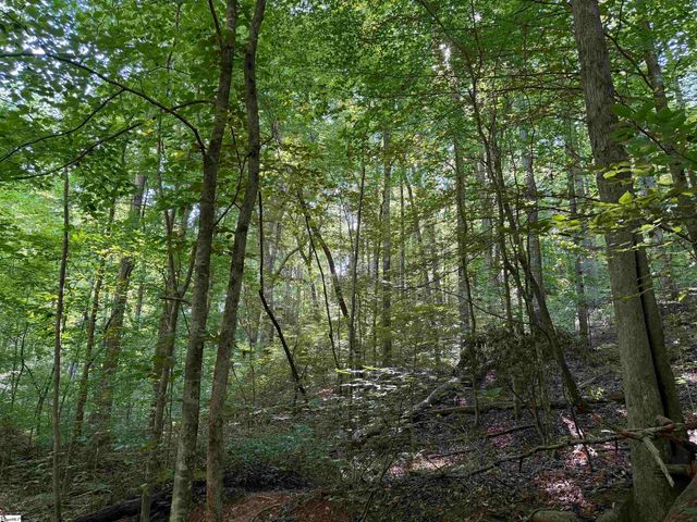 141 Old Sc 11, Travelers Rest, SC 29690