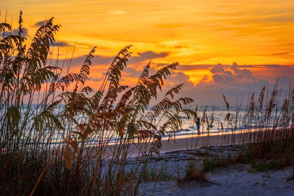 Image 33 of property listing at 500 N JEFFERSON AVENUE J1, Sarasota, FL 34237