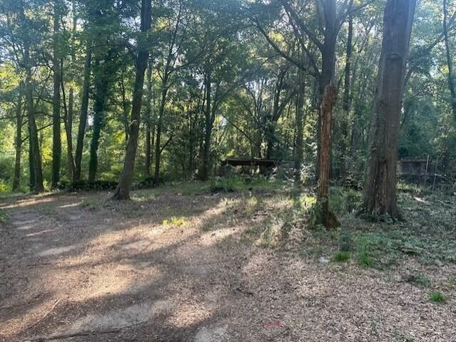 1021 Gipp Street, Summerton, SC 29148