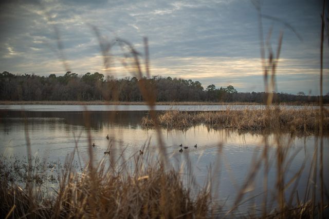 19 Middleton Oaks Road, Charleston, SC 29414