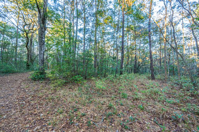 19 Middleton Oaks Road, Charleston, SC 29414