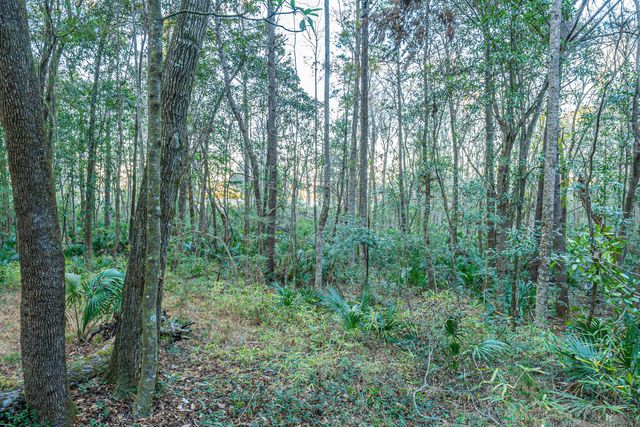 19 Middleton Oaks Road, Charleston, SC 29414