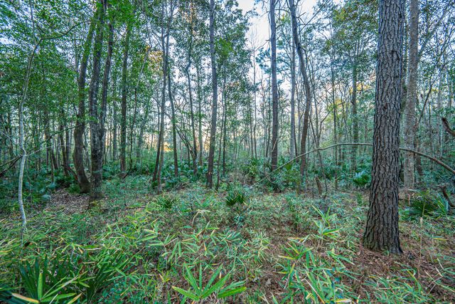 19 Middleton Oaks Road, Charleston, SC 29414