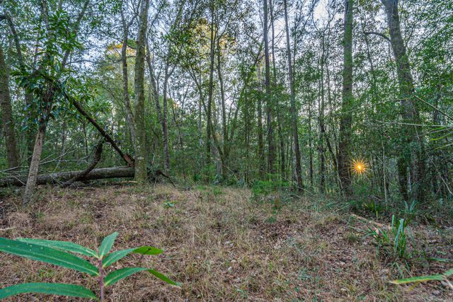 19 Middleton Oaks Road, Charleston, SC 29414