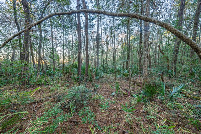 19 Middleton Oaks Road, Charleston, SC 29414