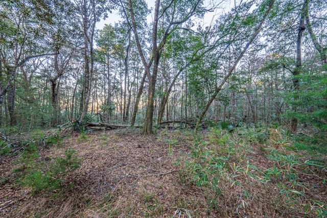 19 Middleton Oaks Road, Charleston, SC 29414