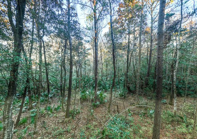 19 Middleton Oaks Road, Charleston, SC 29414