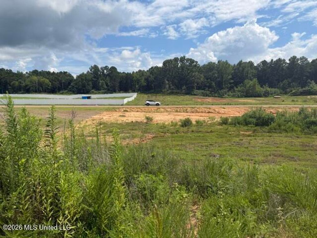 11 Taylor Nicole Road, Byhalia, MS 38611 — photo 2
