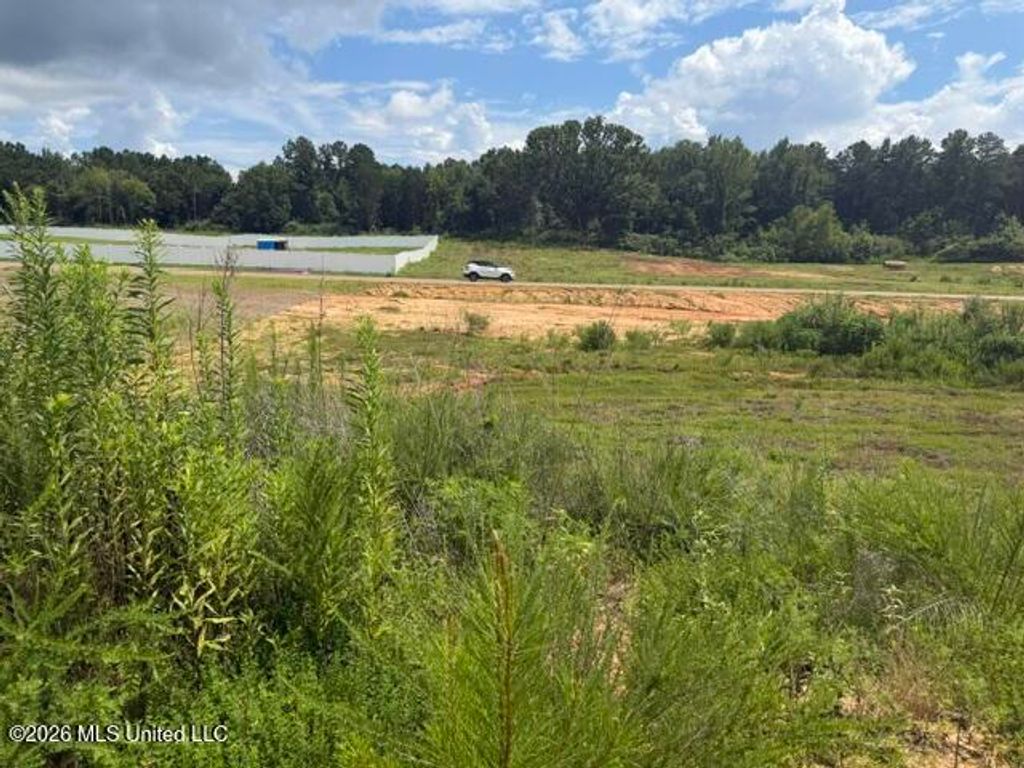 11 Taylor Nicole Road, Byhalia, MS 38611 — photo 3