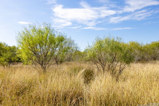 7 FM 1581, Pearsall, TX 78061