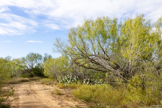 7 FM 1581, Pearsall, TX 78061