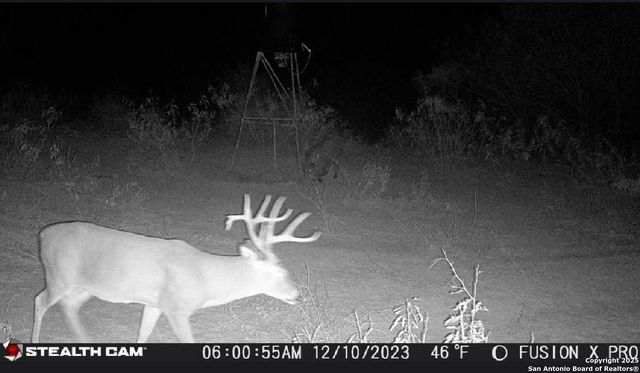 7 FM 1581, Pearsall, TX 78061