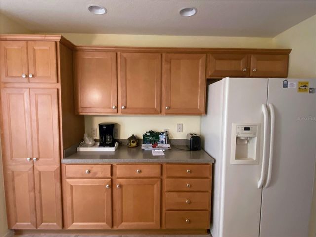 2530 SAFFRON LANE, The Villages, FL 32162