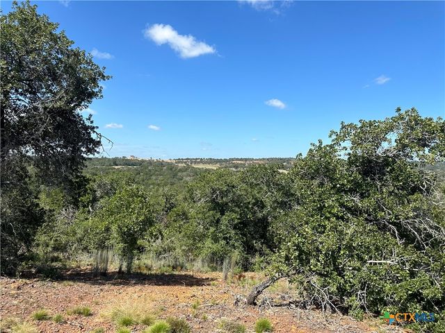 TBD Sandy Fork Road, Harwood, TX 78632