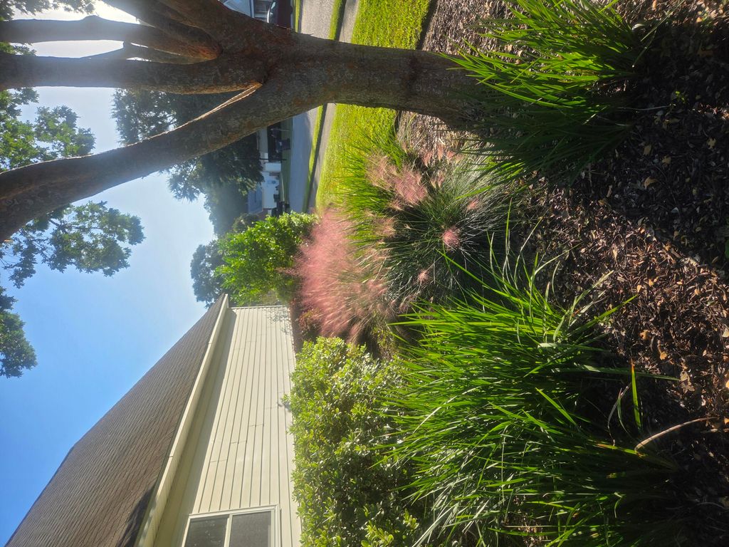 Image 47 of property listing at 201 Ash Court, Summerville, SC 29486