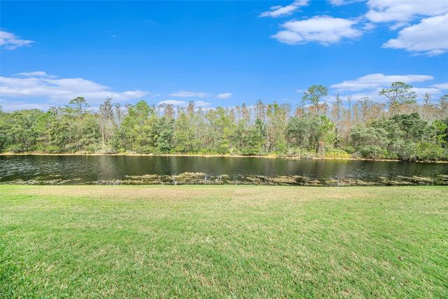 8478 DUNHAM STATION DRIVE, Tampa, FL 33647