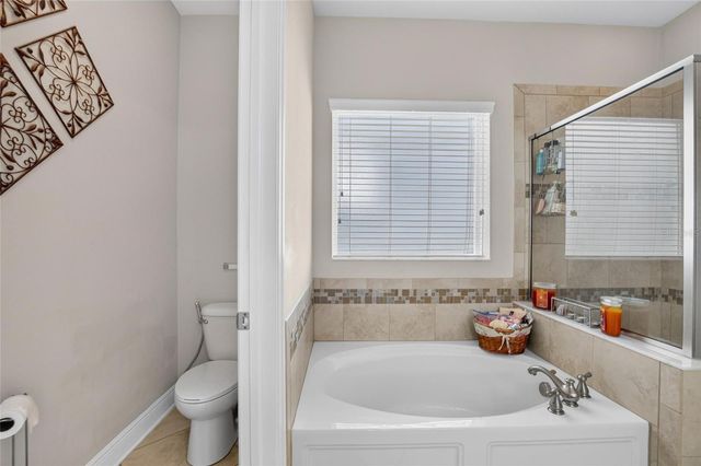 16220 BAYBERRY VIEW DRIVE, Lithia, FL 33547