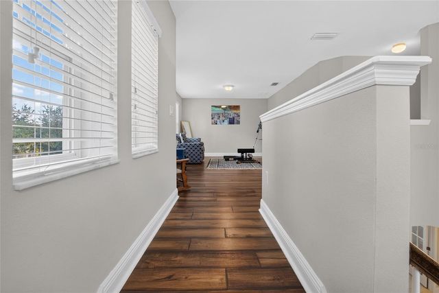 16220 BAYBERRY VIEW DRIVE, Lithia, FL 33547